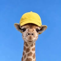 Giraffe Wif Cap