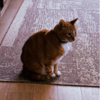 Hobbes