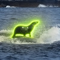 Seal On Whale