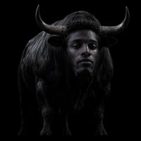 The Black Bull