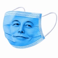 Elon Mask