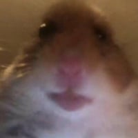 HAMI