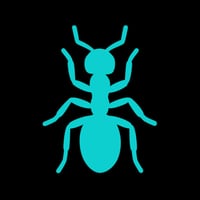 AntsBrain