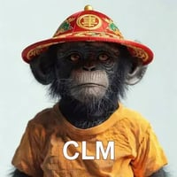 Chinese Lab Monkey