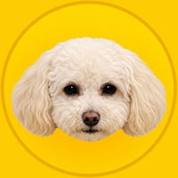 Korico
