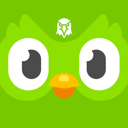 Duolingo Owl