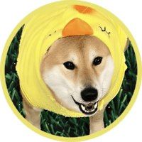 DOGES