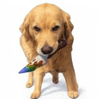 KPUP