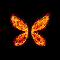 Flap平台首个burn协议