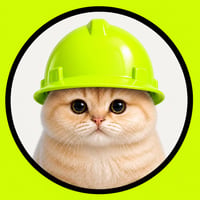 RobinhoodCat