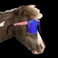 Flying Ketamine Horse