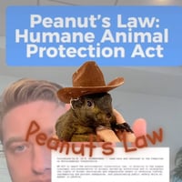 PNUTLAW