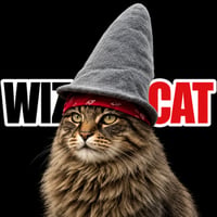 The Wizard Cat