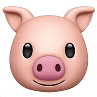 JPEG 标识