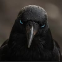 CROW logo