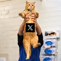 XCAT
