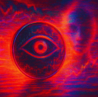 FEVERDREAM