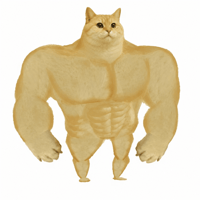 SWOLE CAT