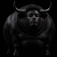 The Fat Bull