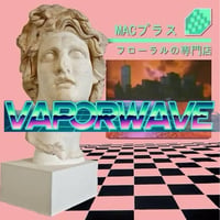 VAPOR