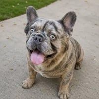 Justice for Kody