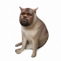 Cash Shaq