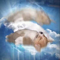 ascend