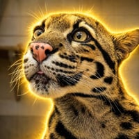 NIRAN