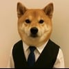 Dog in Vest