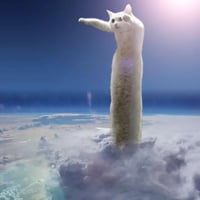LONGCAT logo