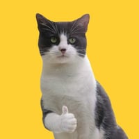 OKAT