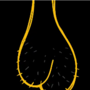 抬起你的蛋蛋，把屁股掰开