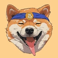 BITDOGE