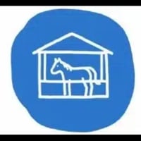 Stable Coin