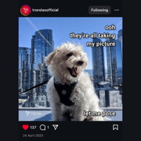 BISCUIT
