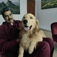 MADURO DOG