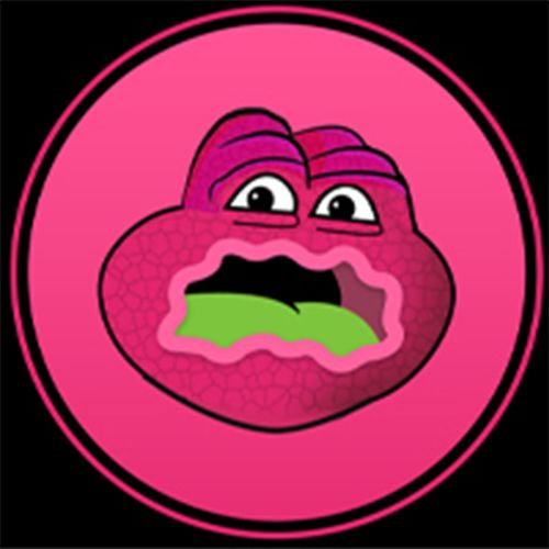 Jerry The Turtle By Matt Furie