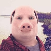 John Pork Coin