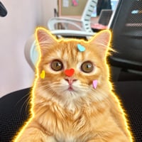 CHONKIE logo