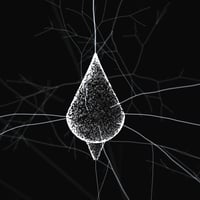 NEURON logo