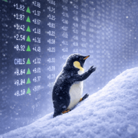 Snow and Penguin 500