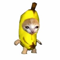 bananacat