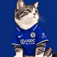 USDC CAT