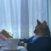Business Cat
