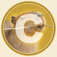Capycoin