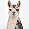 LLAMA