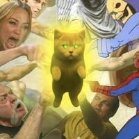 1 cat can change your life