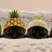 Chou