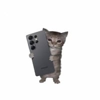 sam