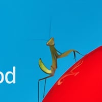 MANTIS